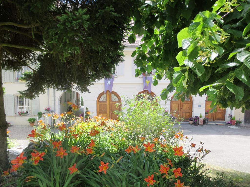 La Maison Des Fontaines D'Alsace Ferrette Cameră foto