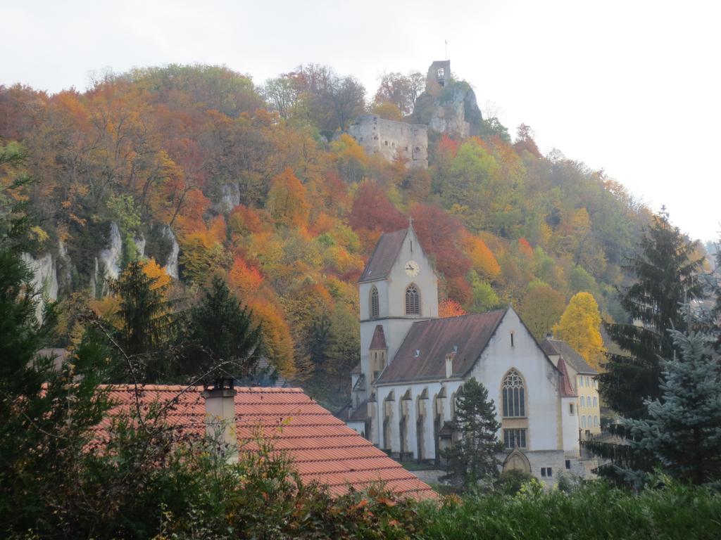 La Maison Des Fontaines D'Alsace Ferrette Cameră foto