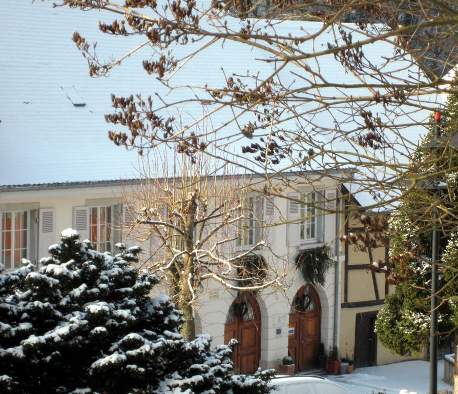 La Maison Des Fontaines D'Alsace Ferrette Cameră foto